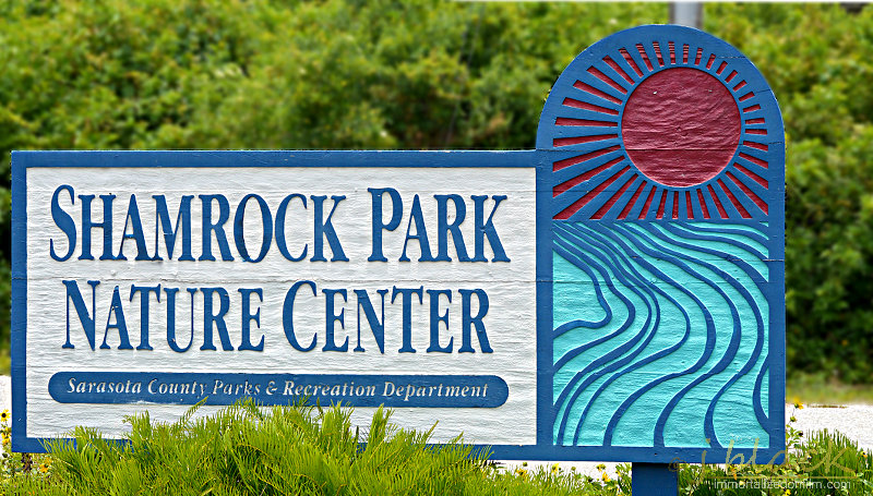 Bike Trails Near Venice Florida 3