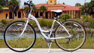 Bike Rental and Repair in Venice Florida 9 Womens 21-Speed Hybrid Bike