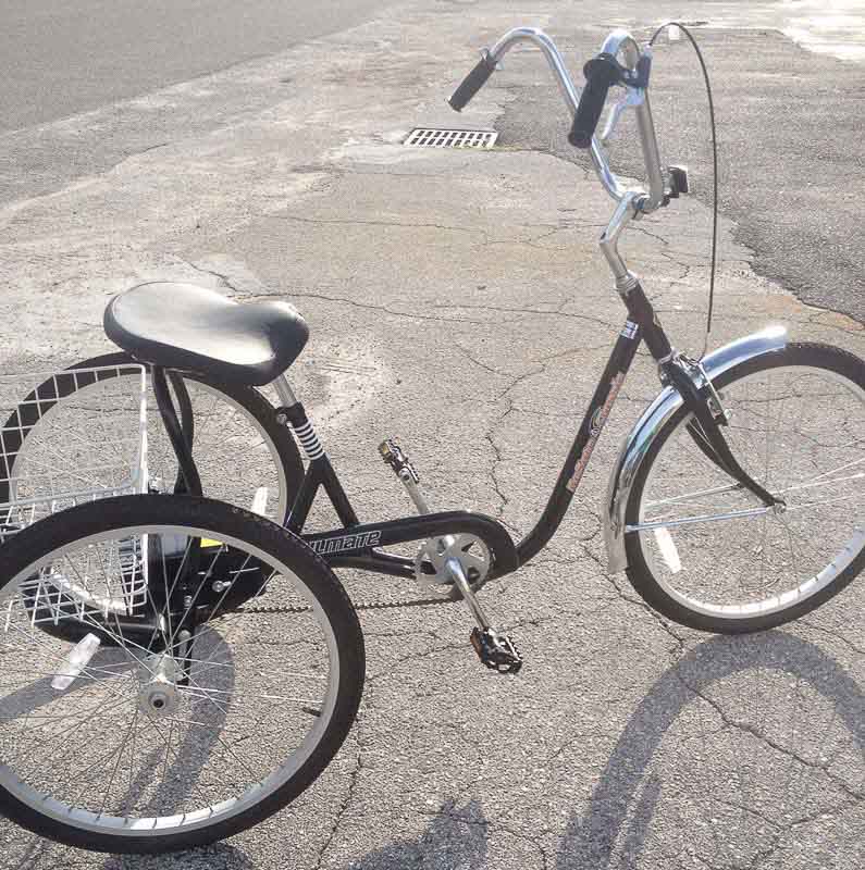 Bike Rental in Venice Florida 6 Adult 3-Wheeled Trike