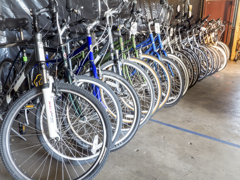 Bike Rental in Venice Florida 1 Bike Rental in Venice Florida