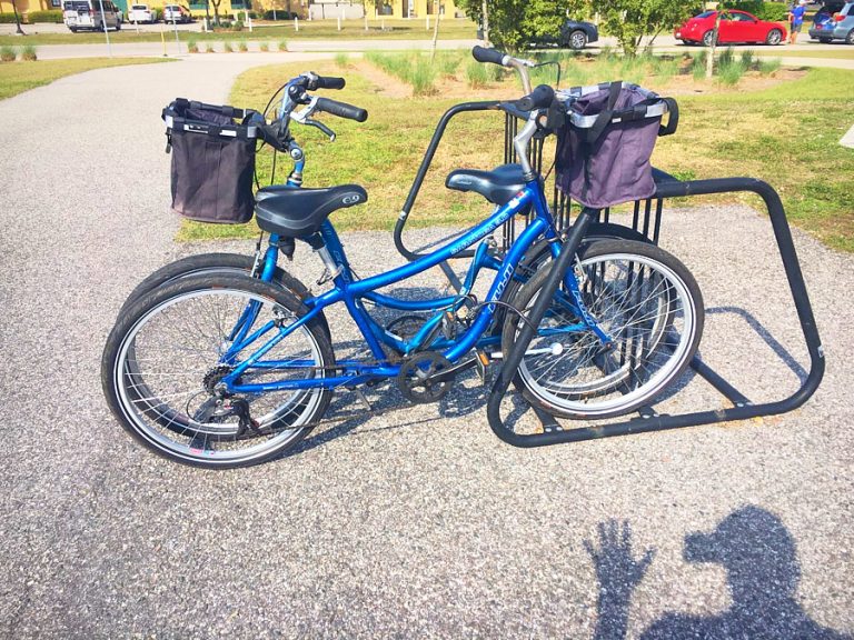Bike Rental and Repair in Venice Florida 2 Legacy Trail and Venice Waterway Trail Bike Rental
